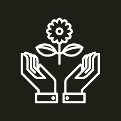 Service 3